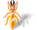 Termite Control