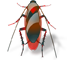 Cockroach Control